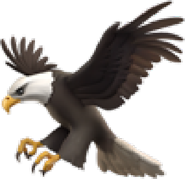 Eagle