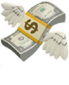 Money with Wings